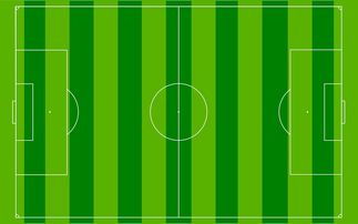 开云体育首页-国足主场比赛战术布置与得分模型关联，国足阵容战术